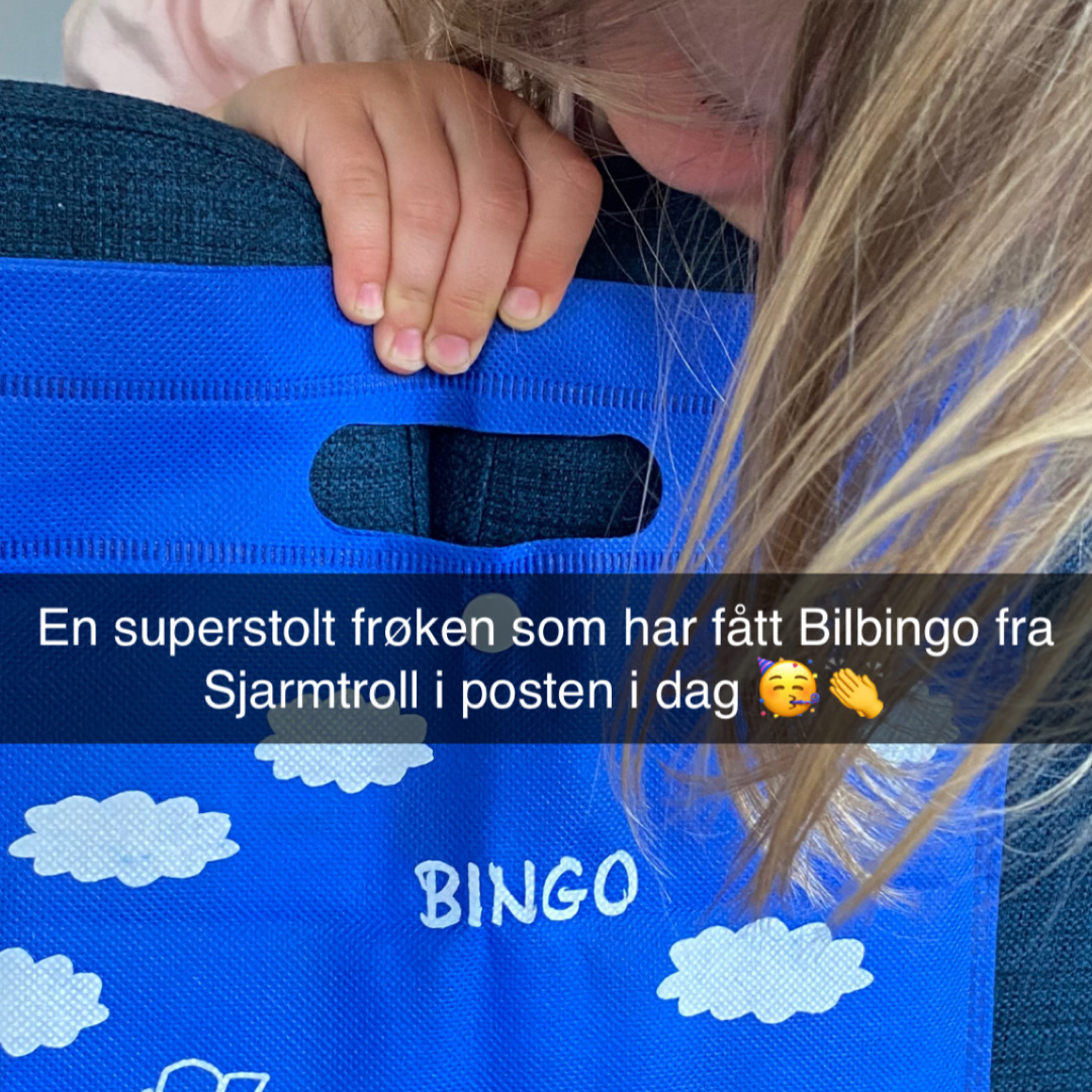 Bilbingo - Underholdning til bilturen