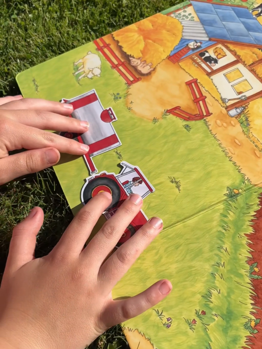 En bondegårdsbok med magnetiske brikker, der barna kan leke med og bli kjent med både dyr, maskiner og mennesker som bor på gården.