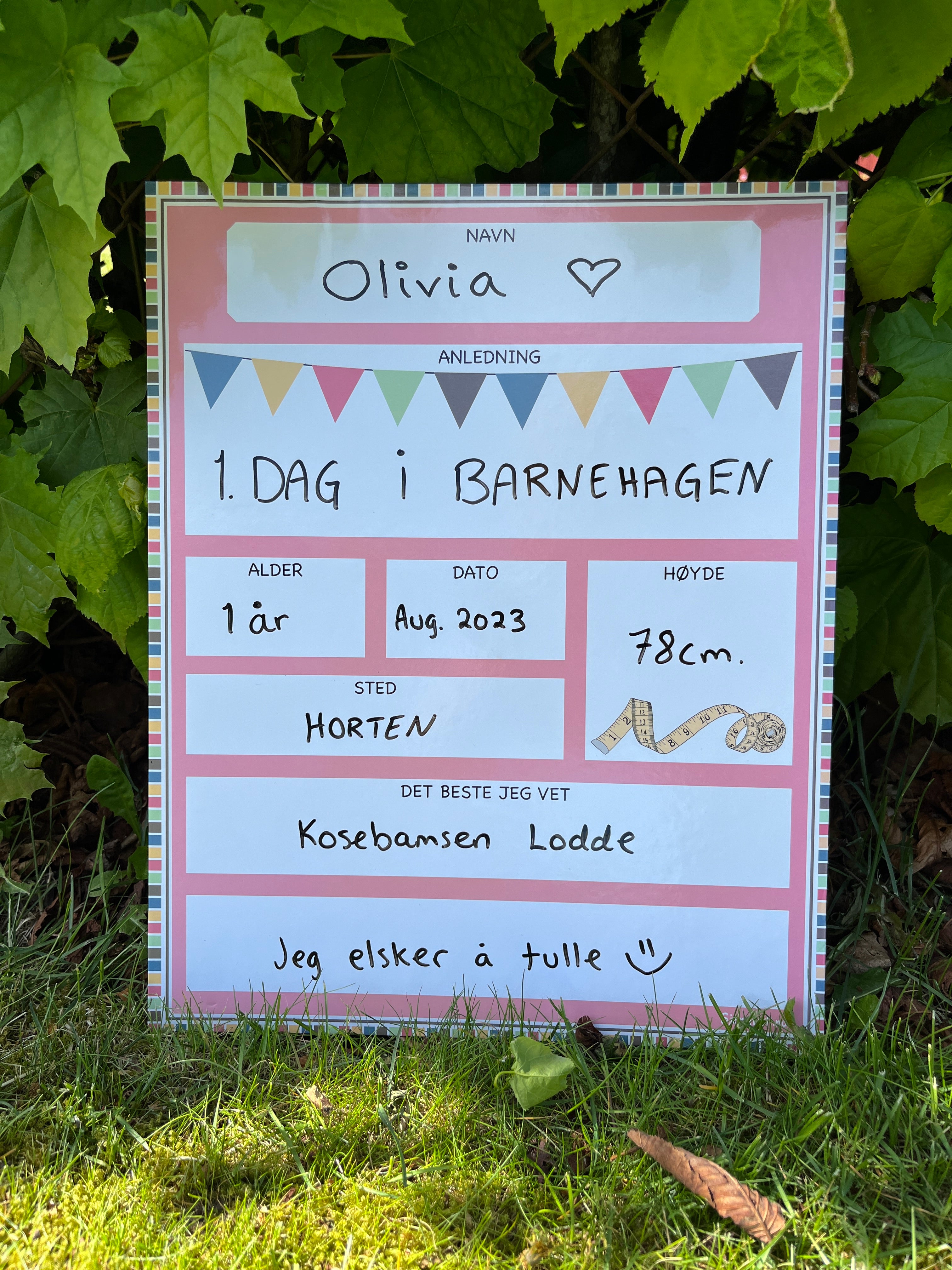 Mine øyeblikk - For barnets milepæler