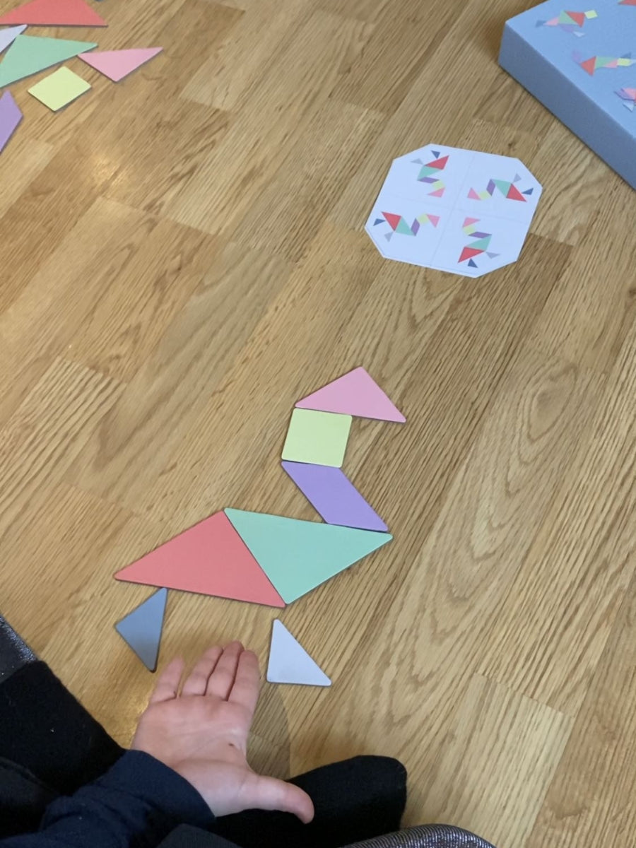 Tangram - morsom hjernetrim for hele familien