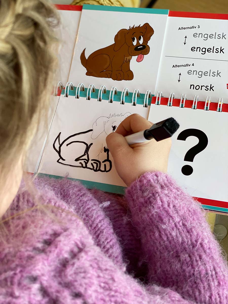 3 bøker - Farger, former og dyr - Engelsk og norsk